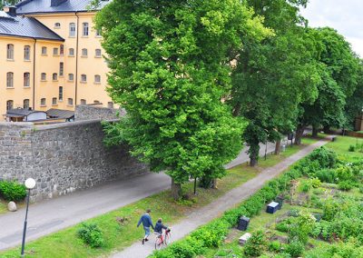 Parkmiljö på Långholmen