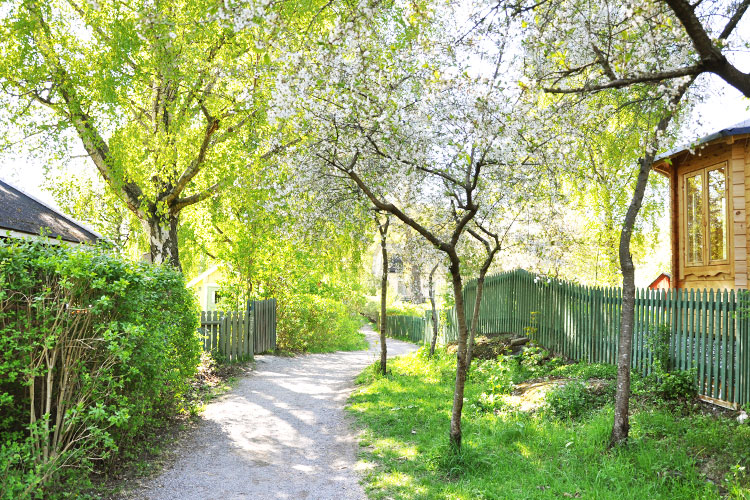 Parkväg på ön Långholmen